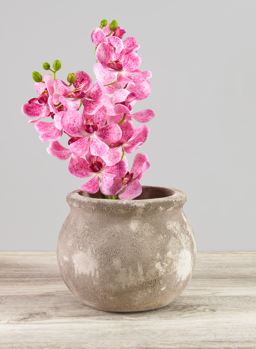 6in Wide Petra Aged Clay Bowl Planter Decor Jamali Garden