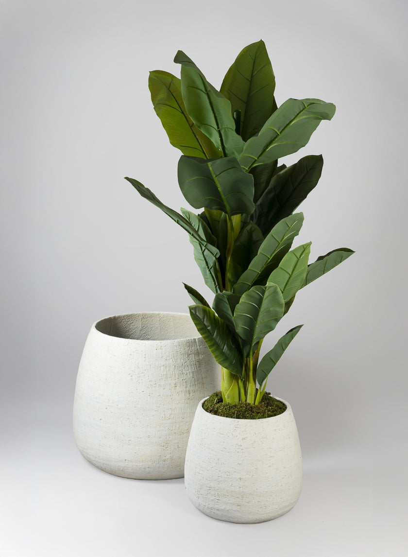 Essaouira Fiber Cement Bell Pot, Rustic White Decor Jamali Garden