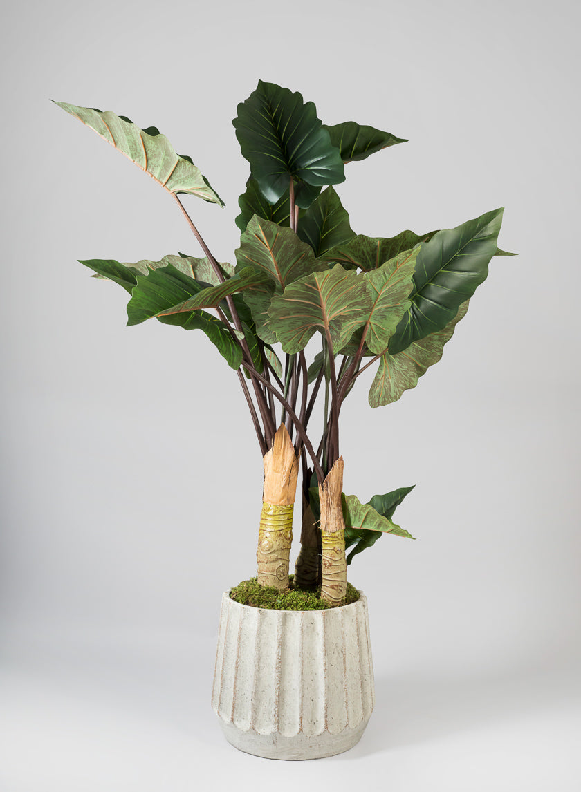 Agadir Ridged Fiber Cement Planter Decor Jamali Garden