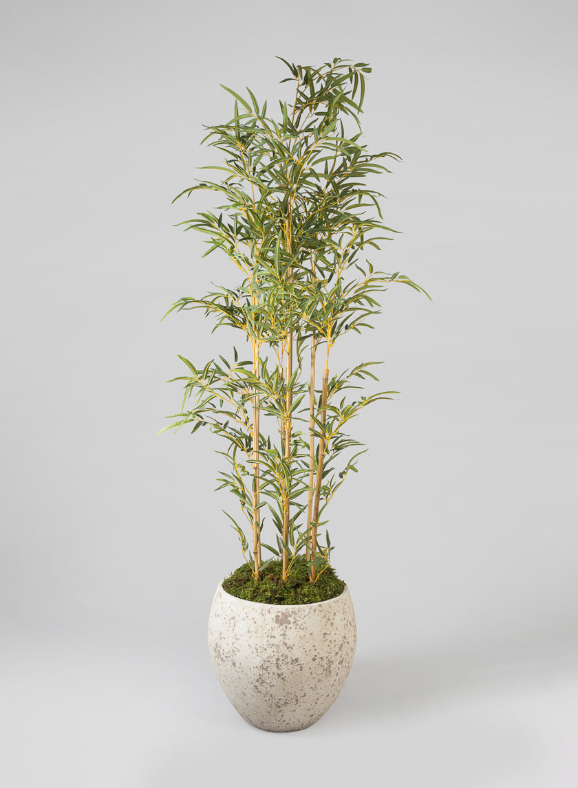 Safi Fiber Cement Egg Planters Decor Jamali Garden