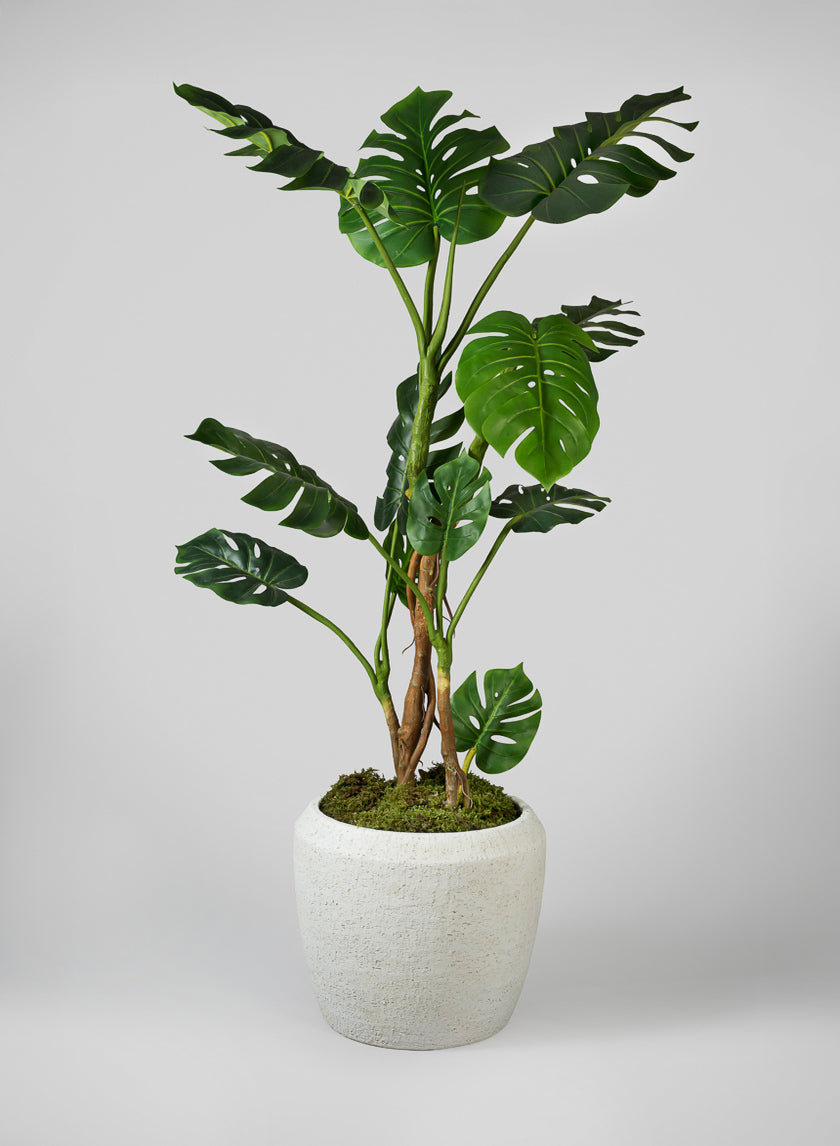 Meknes Fiber Cement Planters, Rustic White Decor Jamali Garden