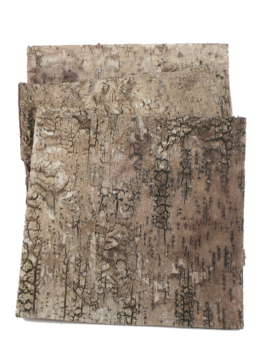 12in Square Birch Bark, Set of 7 Decor Jamali Garden