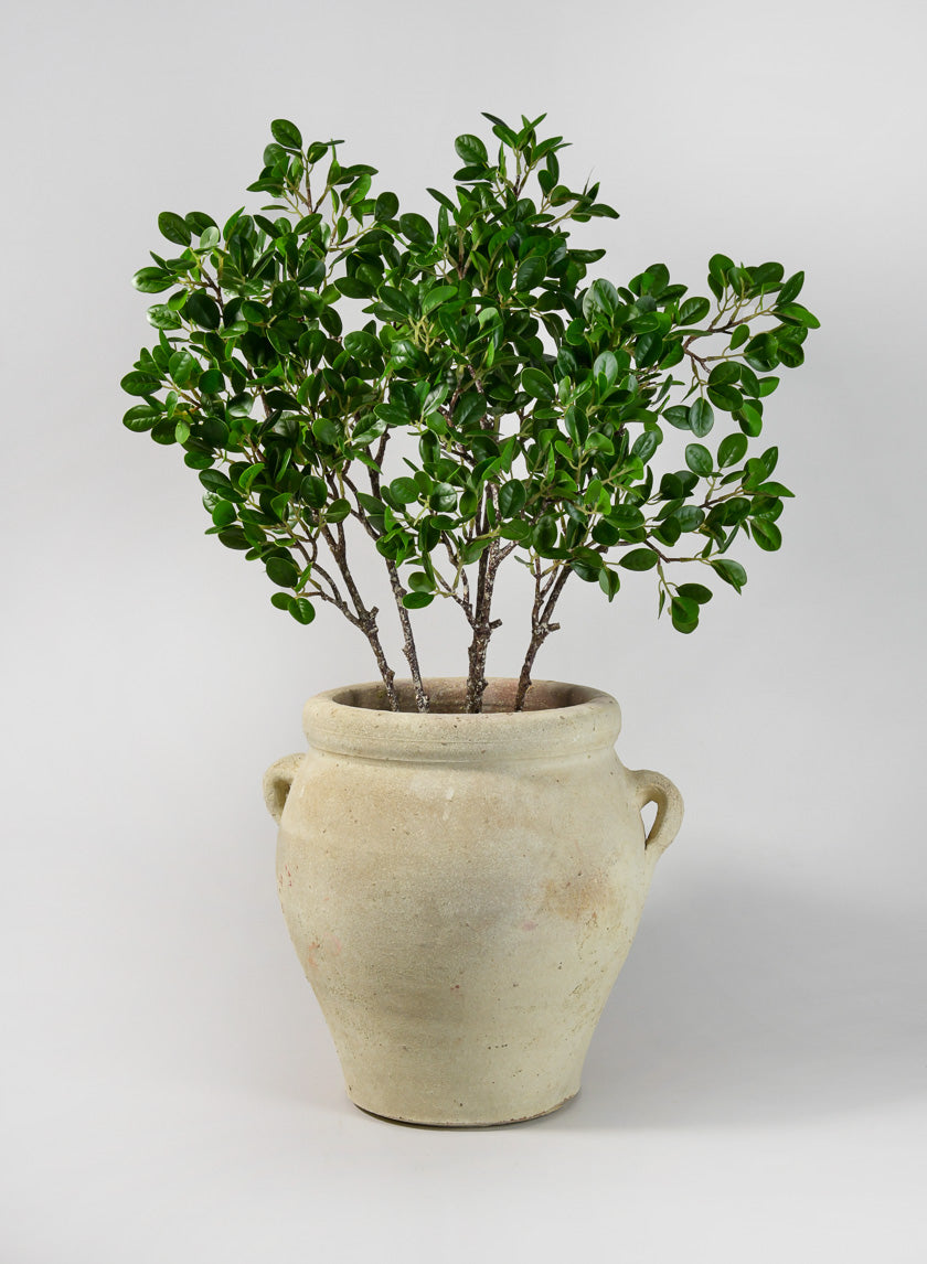 12.25in Tall Tunisian Handmade Hydria Jar with Handles Pot Decor Jamali Garden