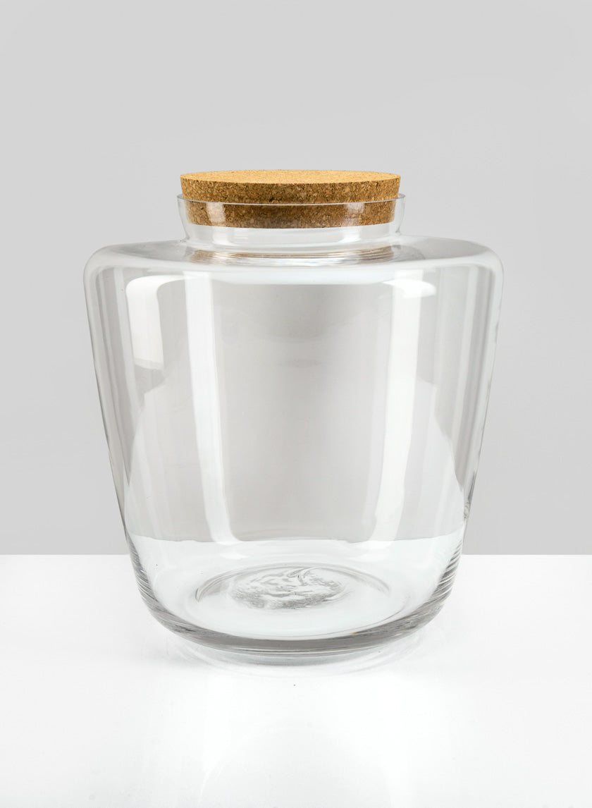 11in Tall Pantanal Glass Terrarium with Cork, Large Decor Jamali Garden