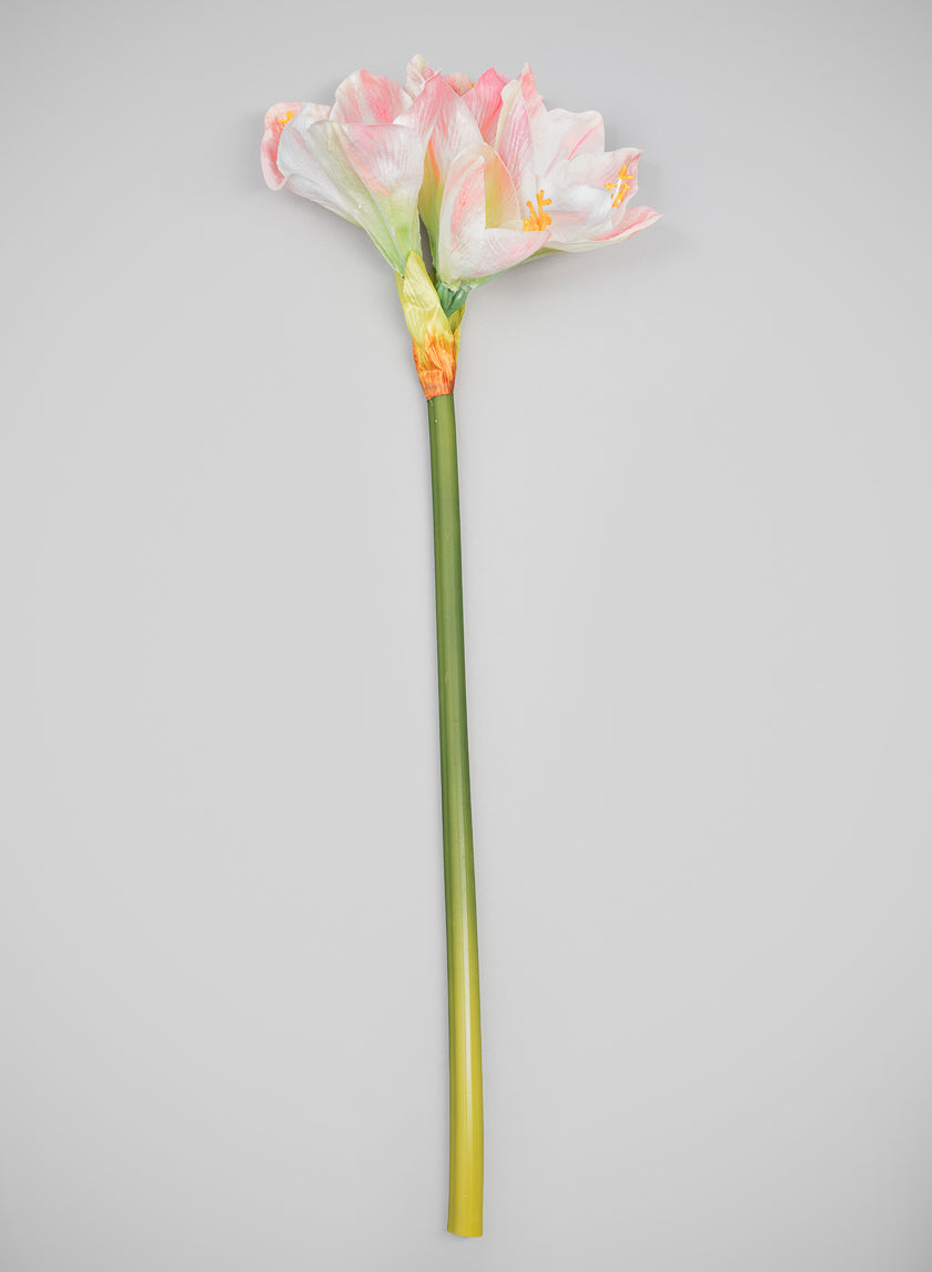 24in Long Real Touch Real Look Amaryllis Stem Blushing Pink Decor Jamali Garden