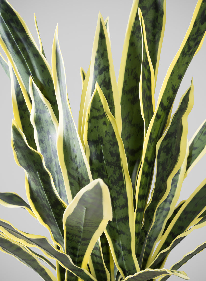 27in Tall Real Touch Real Look Snake Plant in Pot Decor Jamali Garden