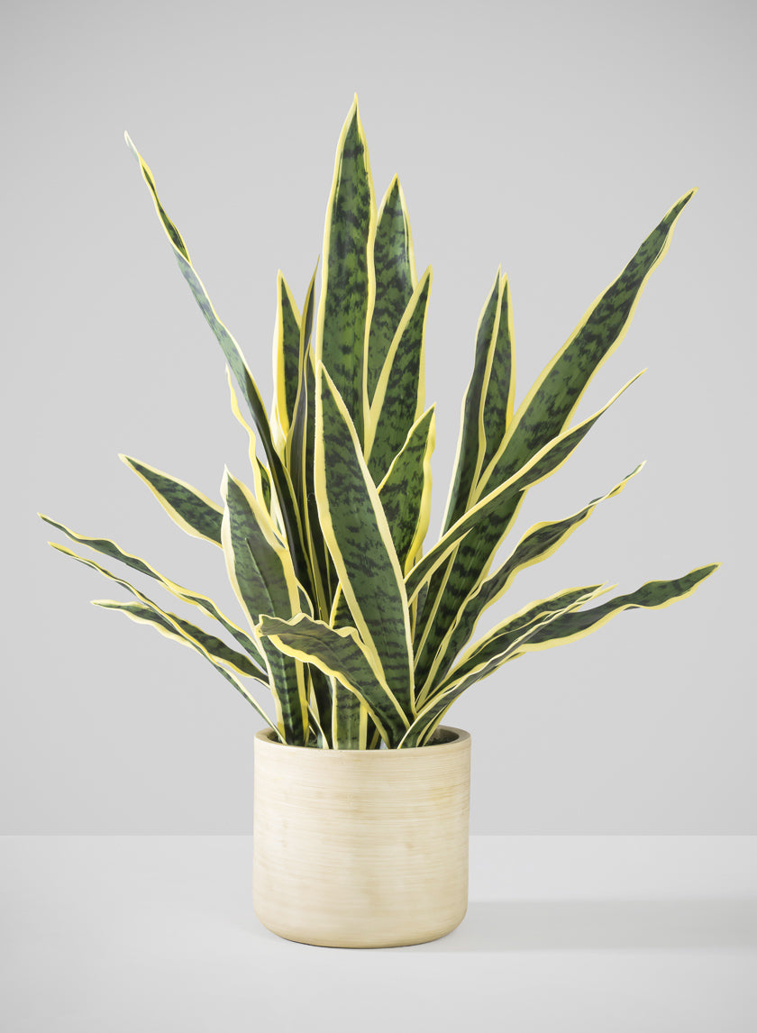27in Tall Real Touch Real Look Snake Plant in Pot Decor Jamali Garden