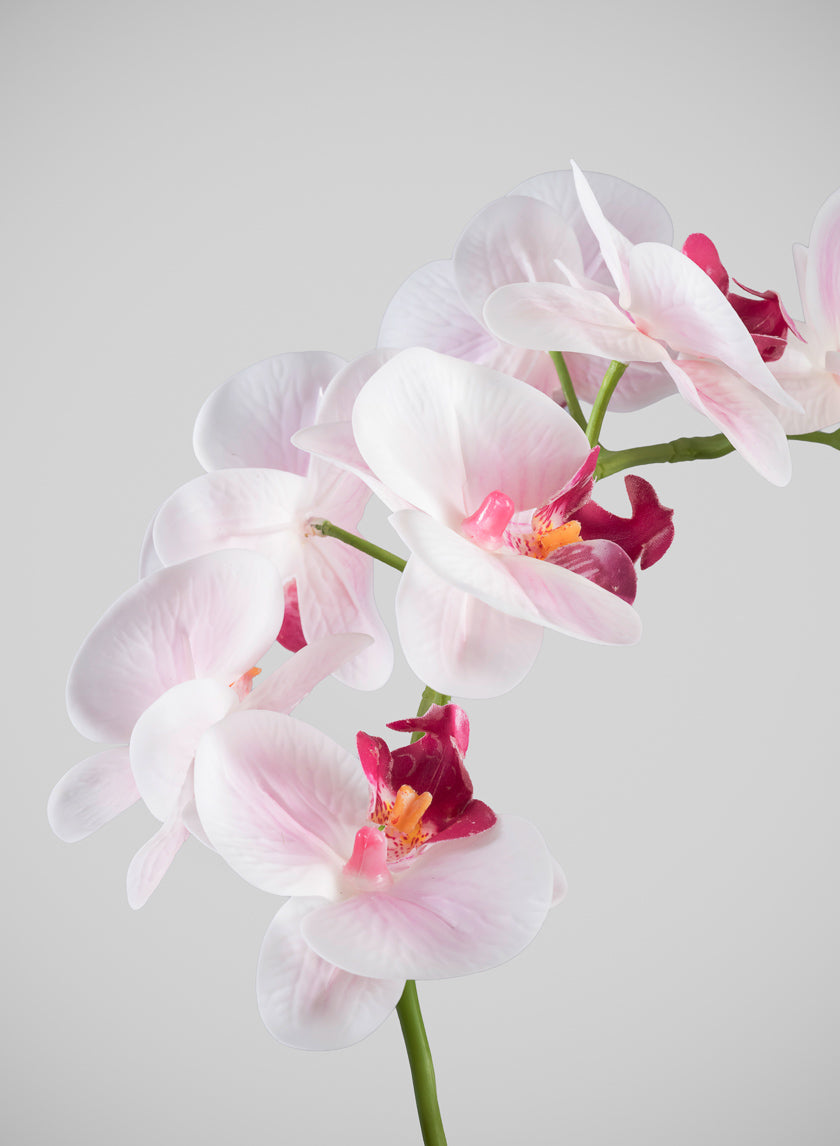 19in Tall Real Touch Blooming Orchid Phalaenopsis in Decorative Ceramic Pot Decor Jamali Garden