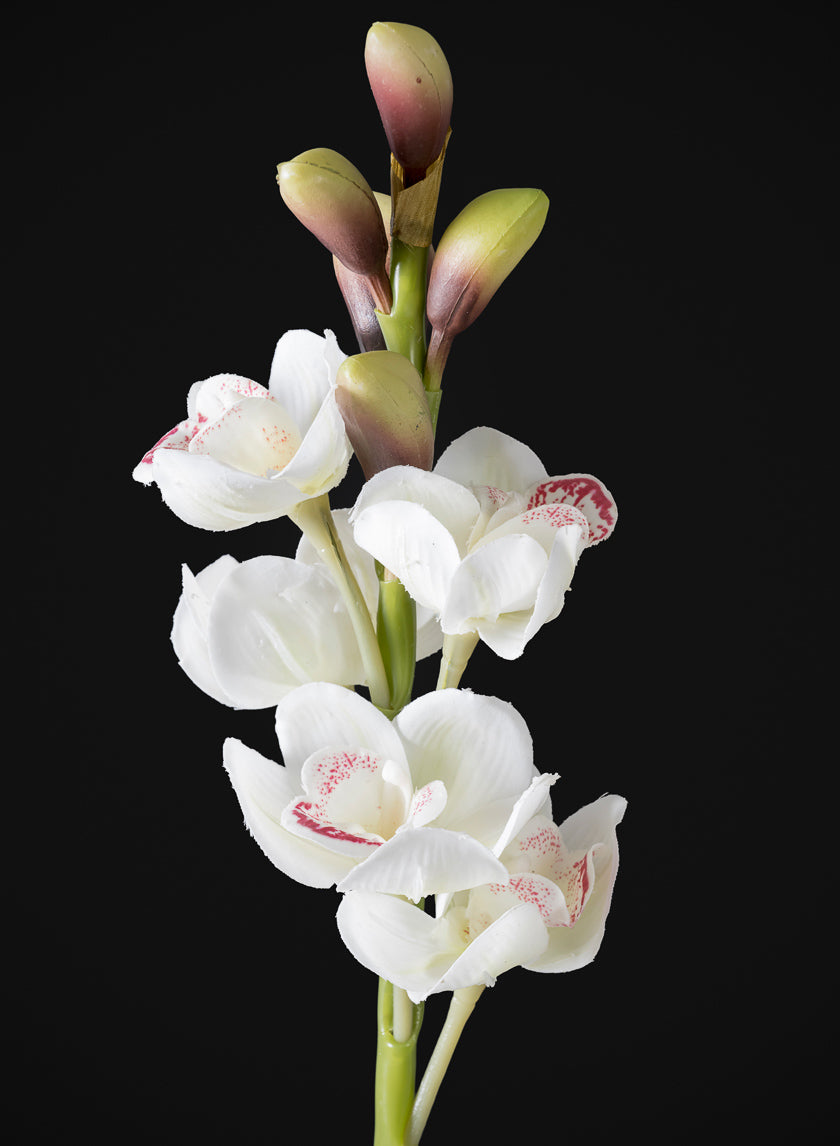 23in Long Real Touch Real Look Cymbidium Orchid Stem in White, Case of 12 Decor Jamali Garden