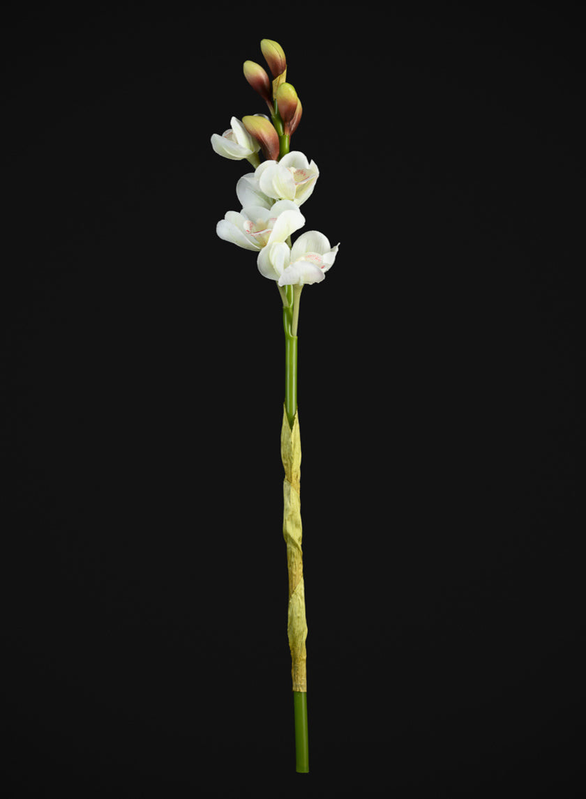 23in Long Real Touch Real Look Cymbidium Orchid Stem in White, Case of 12 Decor Jamali Garden