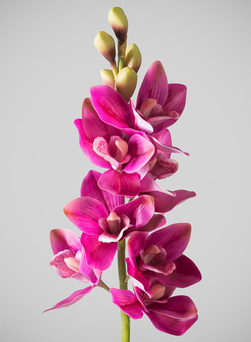31in Long Real Touch Real Look Cymbidium Orchid Stem Decor Jamali Garden