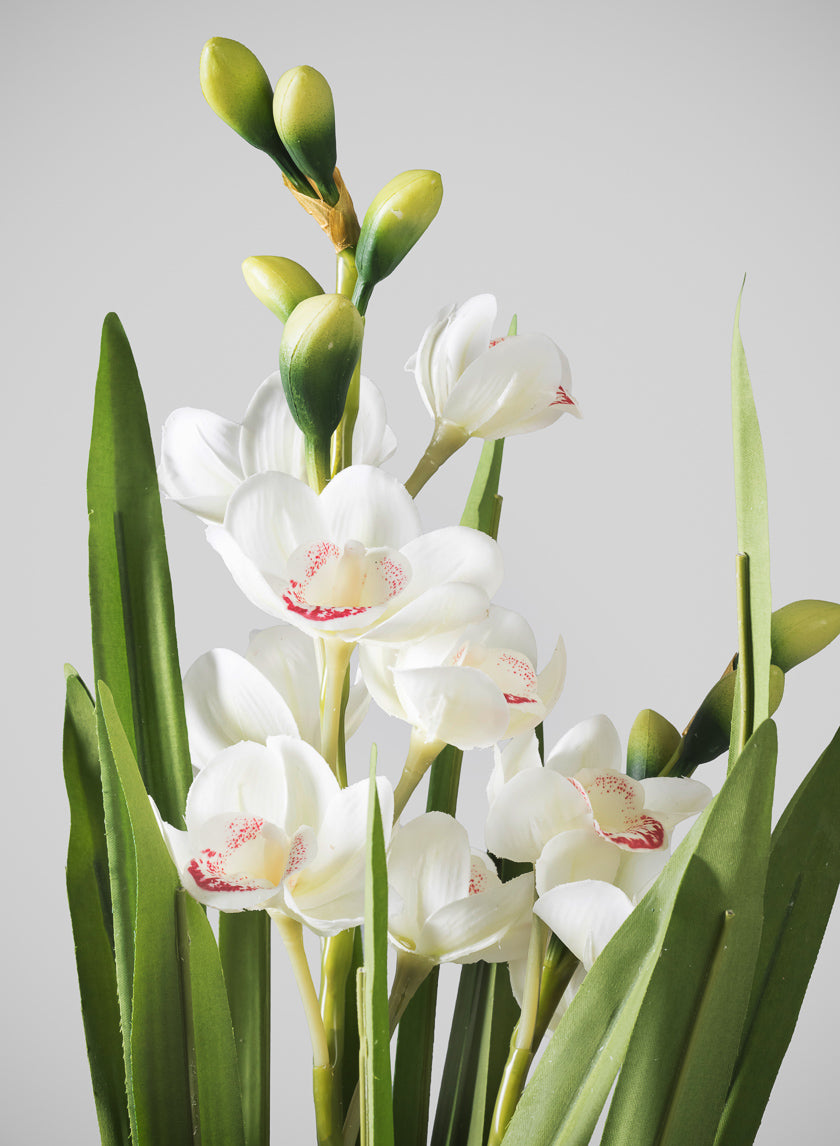 20.5in Tall Real Touch 2 Stem Cymbidium Orchid in Decorative Ceramic Pot Decor Jamali Garden