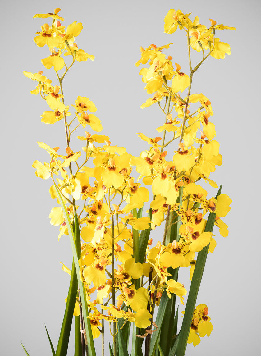 32in Tall Real Touch 6 Stem Giant Orchid Oncidium in Pot Decor Jamali Garden