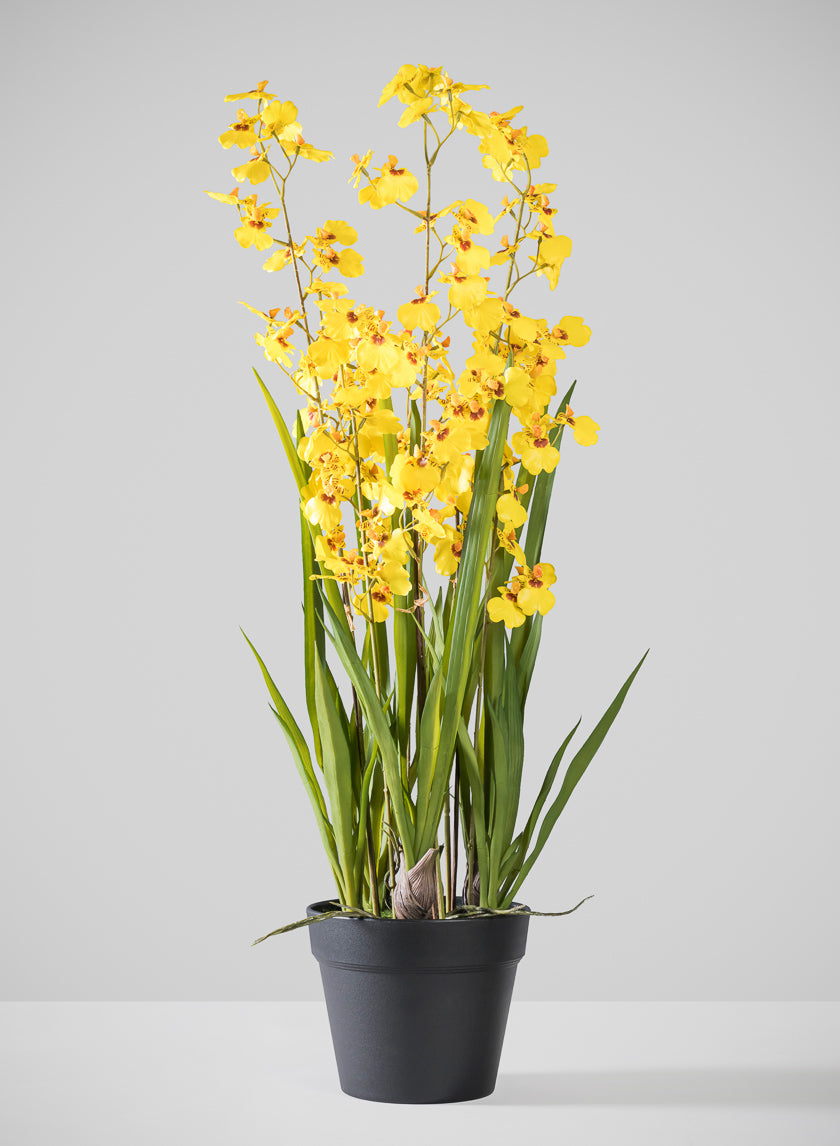 32in Tall Real Touch 6 Stem Giant Orchid Oncidium in Pot Decor Jamali Garden