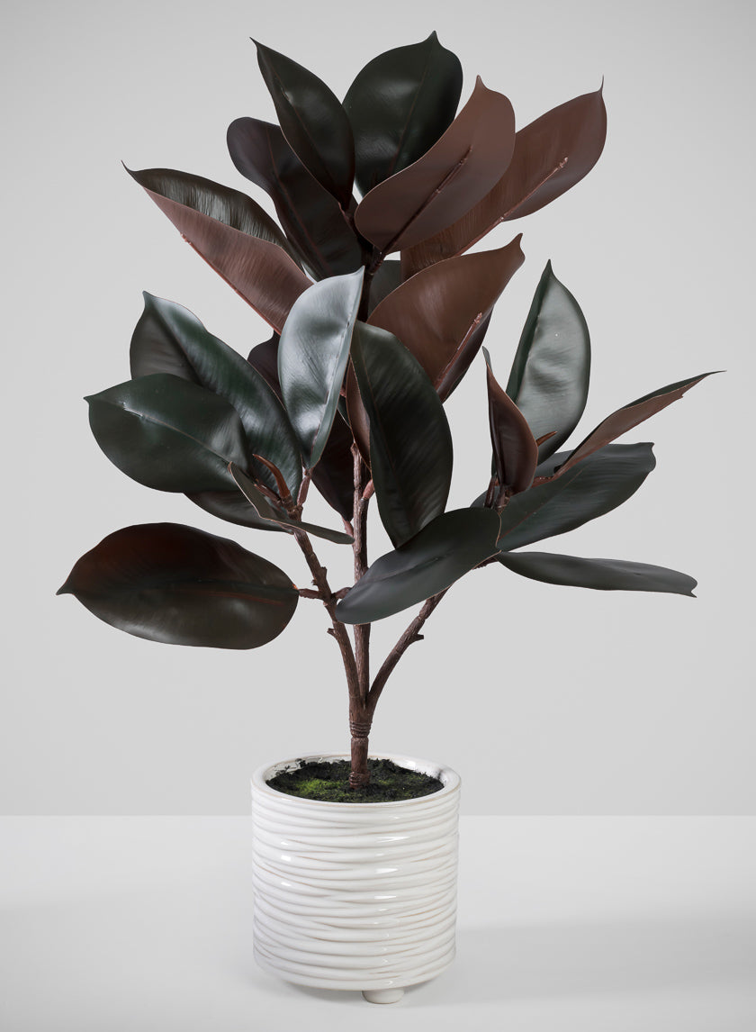 26in Tall Real Touch Real Look Rubber Tree in Ceramic Pot Decor Jamali Garden