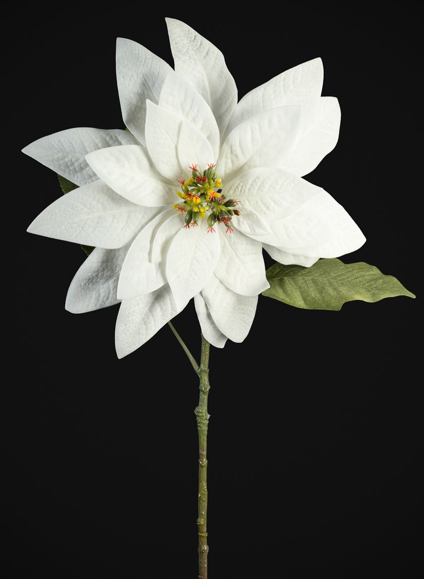 29in Long Real Touch Real Look White Poinsettia Stem, Case of 12 Decor Jamali Garden