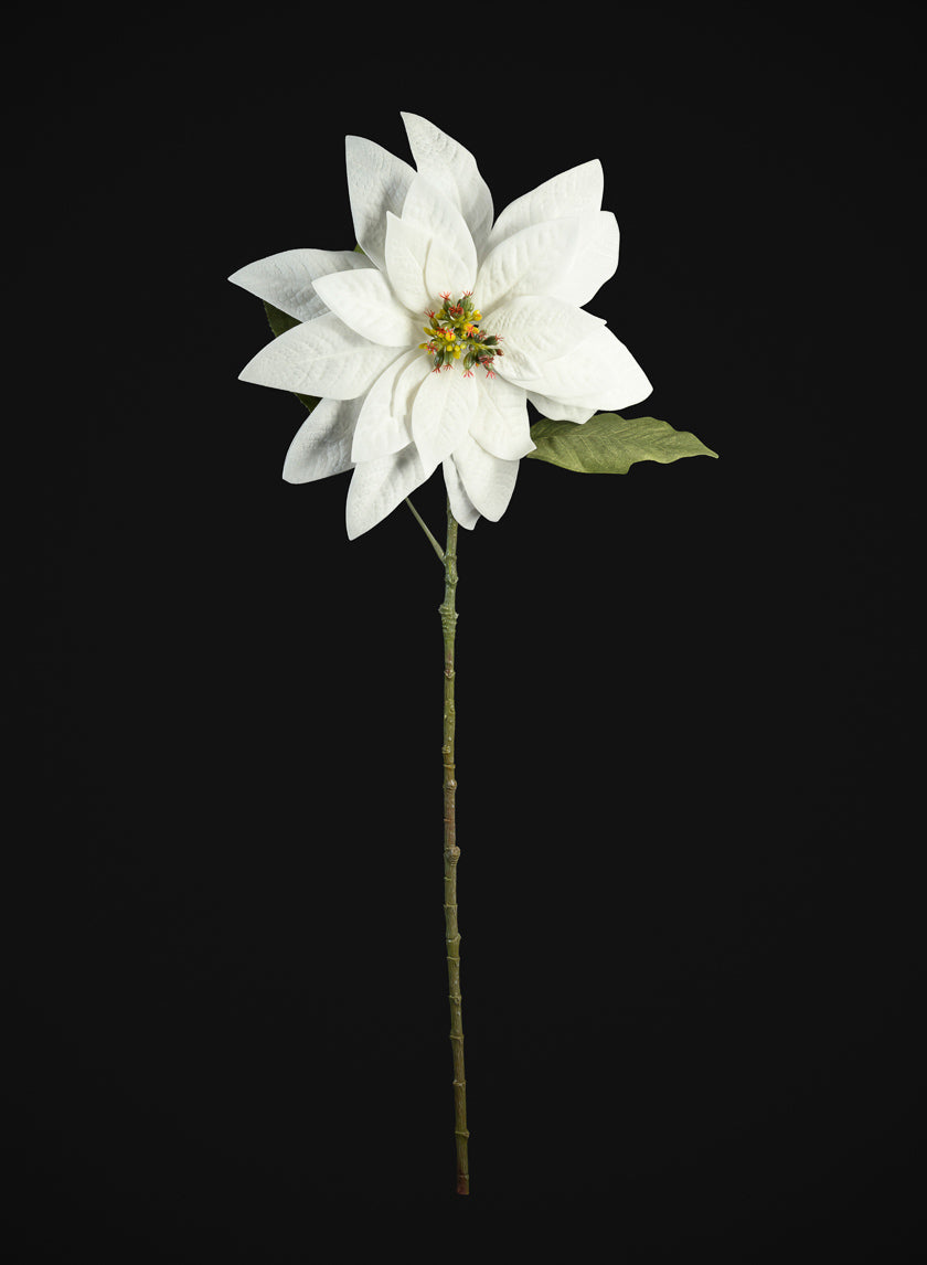 29in Long Real Touch Real Look White Poinsettia Stem, Case of 12 Decor Jamali Garden