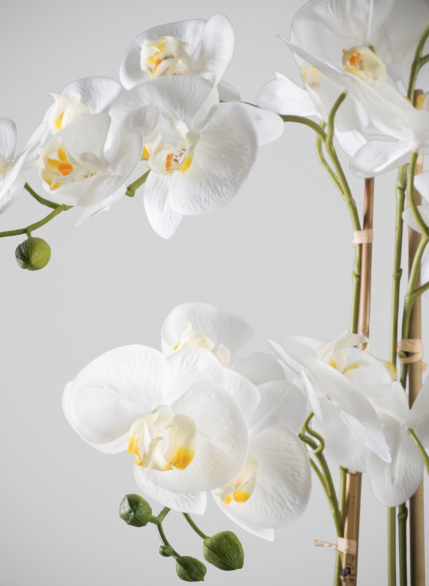 31in Tall Real Touch 5 Stem Blooming Orchid Phalaenopsis in Decorative Ceramic Pot Decor Jamali Garden