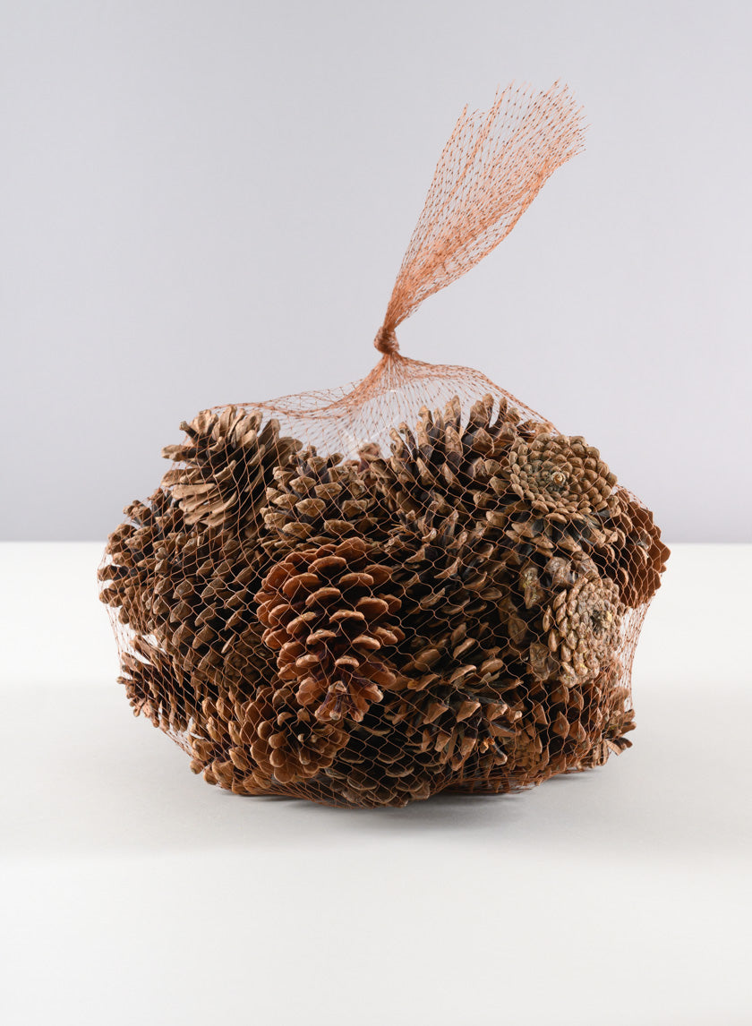 500G Small Natural Pinecones in Net Bag Decor Jamali Garden