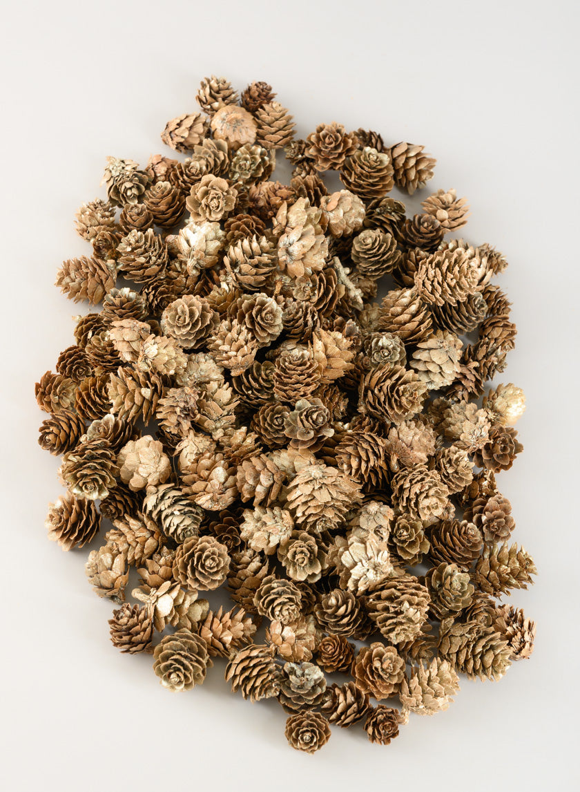 250G Champagne Mini Pinecones in Net Bag Decor Jamali Garden
