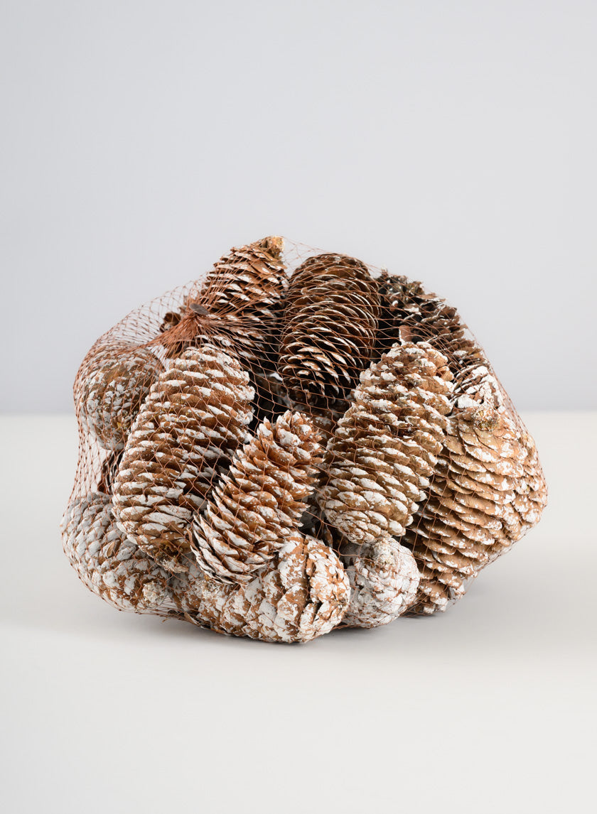 300G White Tip Long Pinecones in Net Bag Decor Jamali Garden