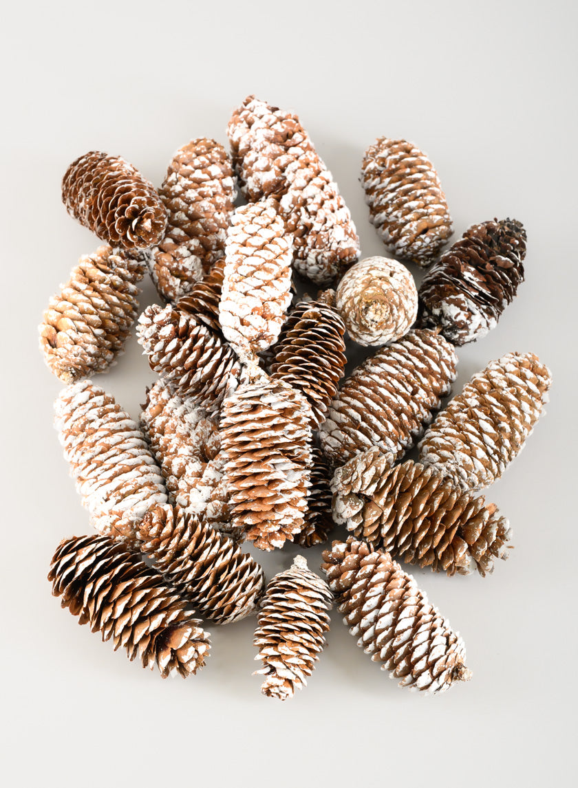 300G White Tip Long Pinecones in Net Bag Decor Jamali Garden