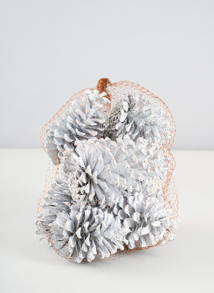 300G White Wash Pinecones In a Net Bag Decor Jamali Garden