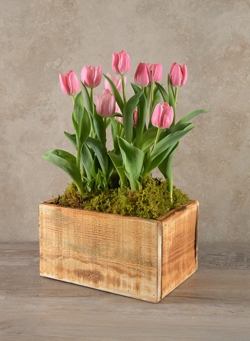 10in Long Raw Wood Deep Flower Box Decor Jamali Garden