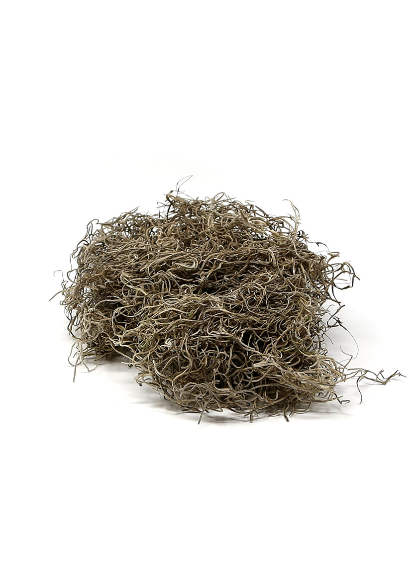 8oz SuperMoss Preserved Natural Spanish Moss