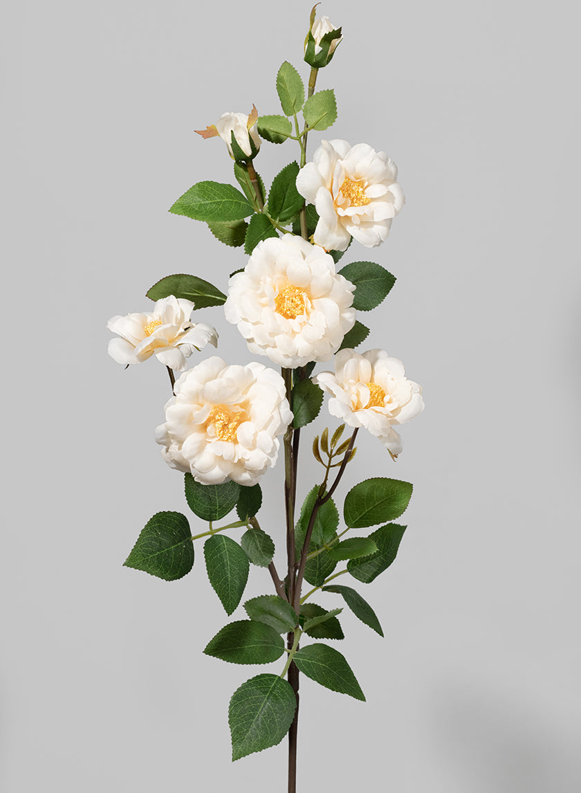 28in Long Cream Icelandic Rose Spray, Case of 12 Decor Jamali Garden