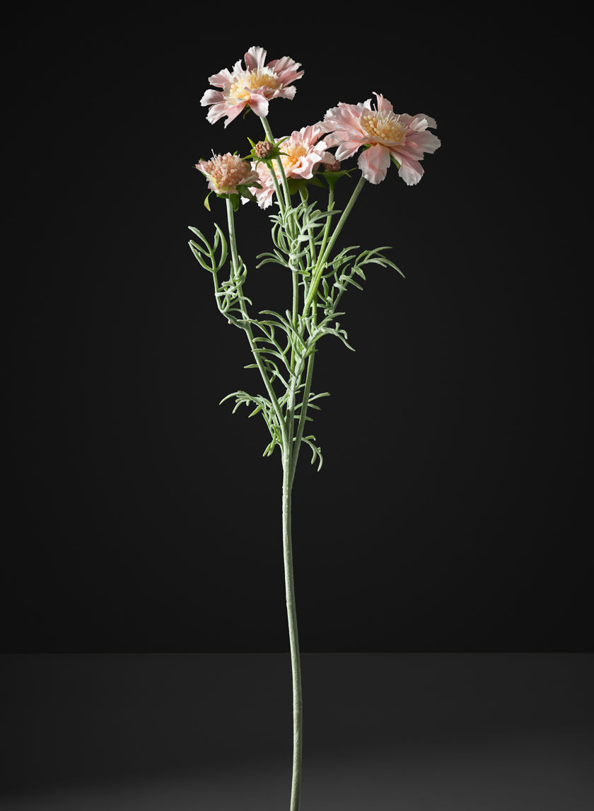 24in Long Scabiosa, Case of 12 Decor Jamali Garden