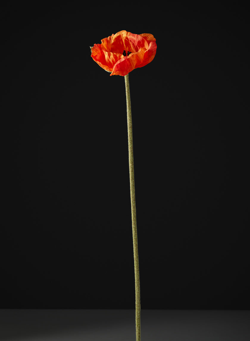 27in Long Red Poppy Stem, Case of 12 Decor Jamali Garden