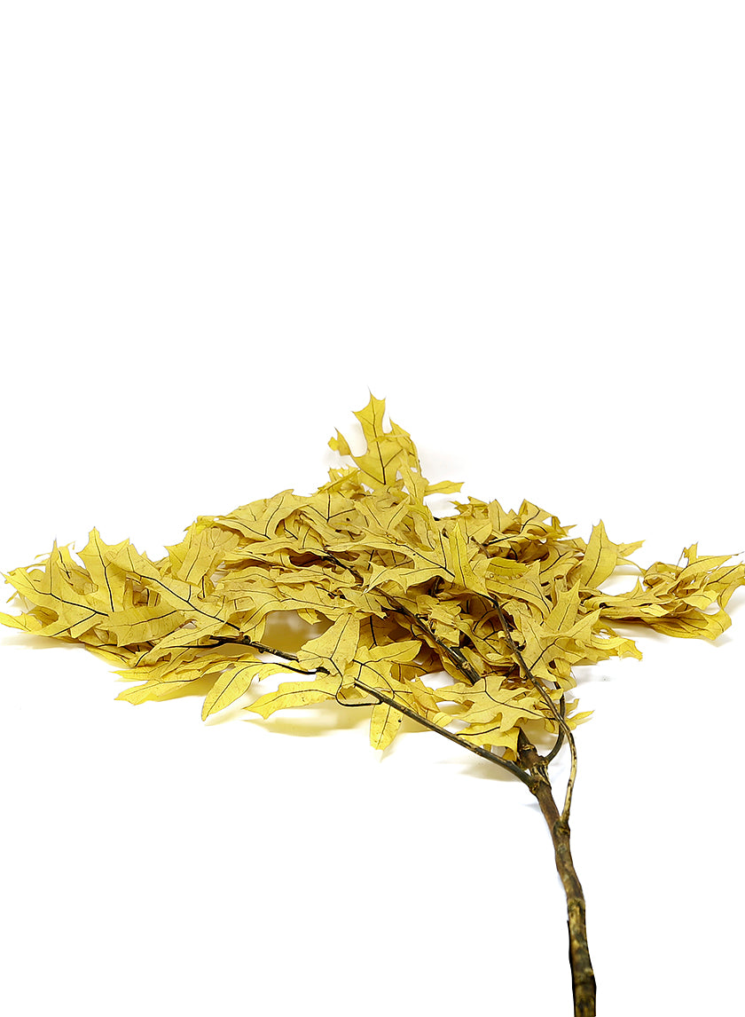 Transparent Yellow Oak Leaves, 1.0 lbs. Decor Jamali Garden