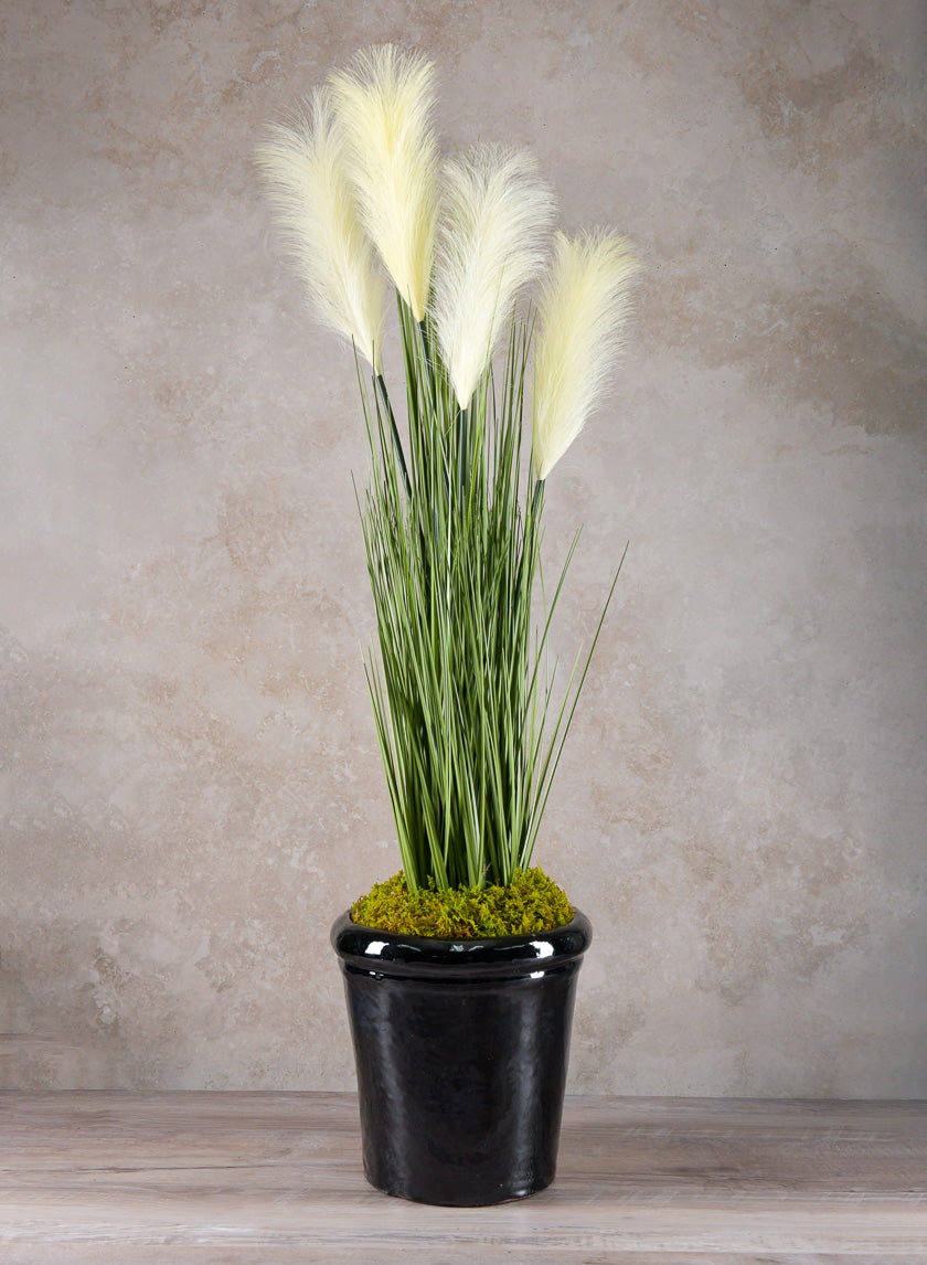 Rolled Rim Clay & Ceramic Planter, Mesquite Black Decor Jamali Garden