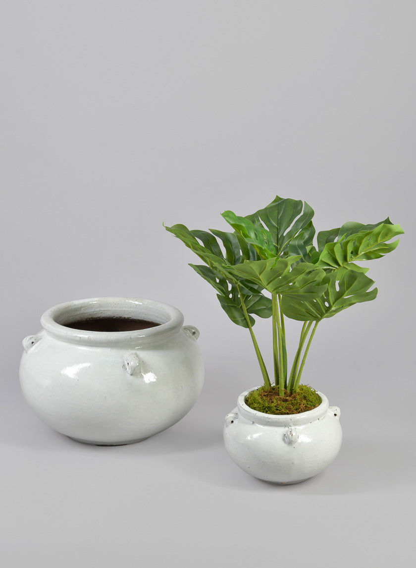 Jakarta Bowl Clay & Ceramic Planters, Cloud White Decor Jamali Garden