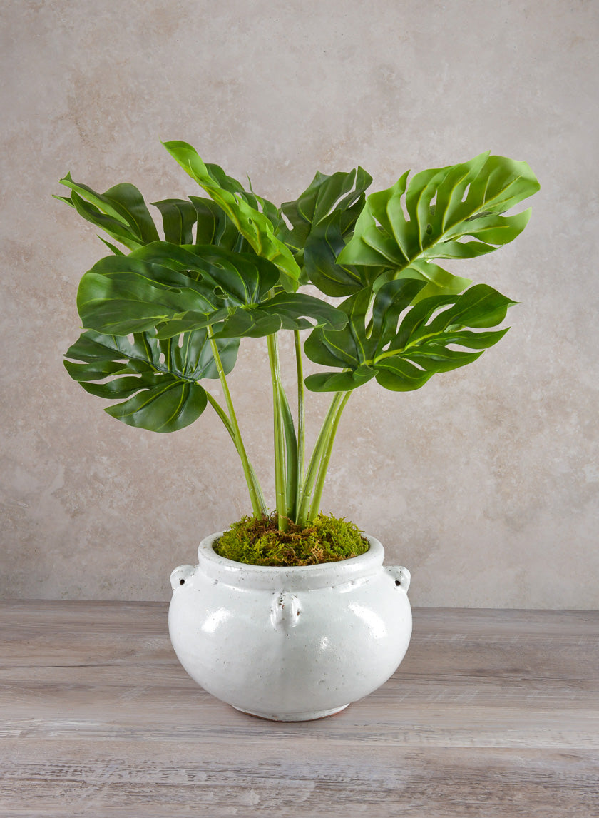 Jakarta Bowl Clay & Ceramic Planters, Cloud White Decor Jamali Garden