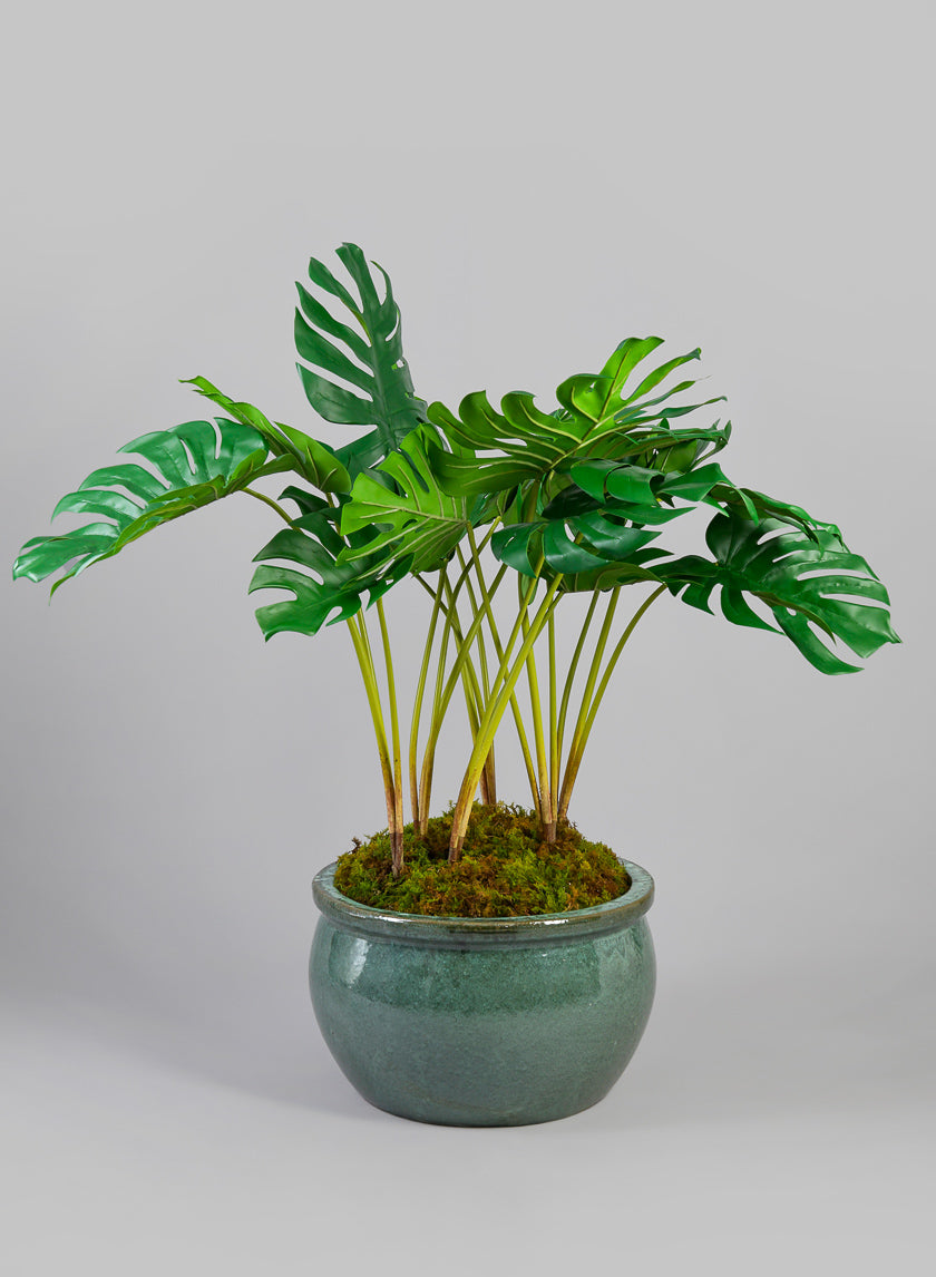 Low Bowl Clay & Ceramic Planter, Bali Jade Decor Jamali Garden