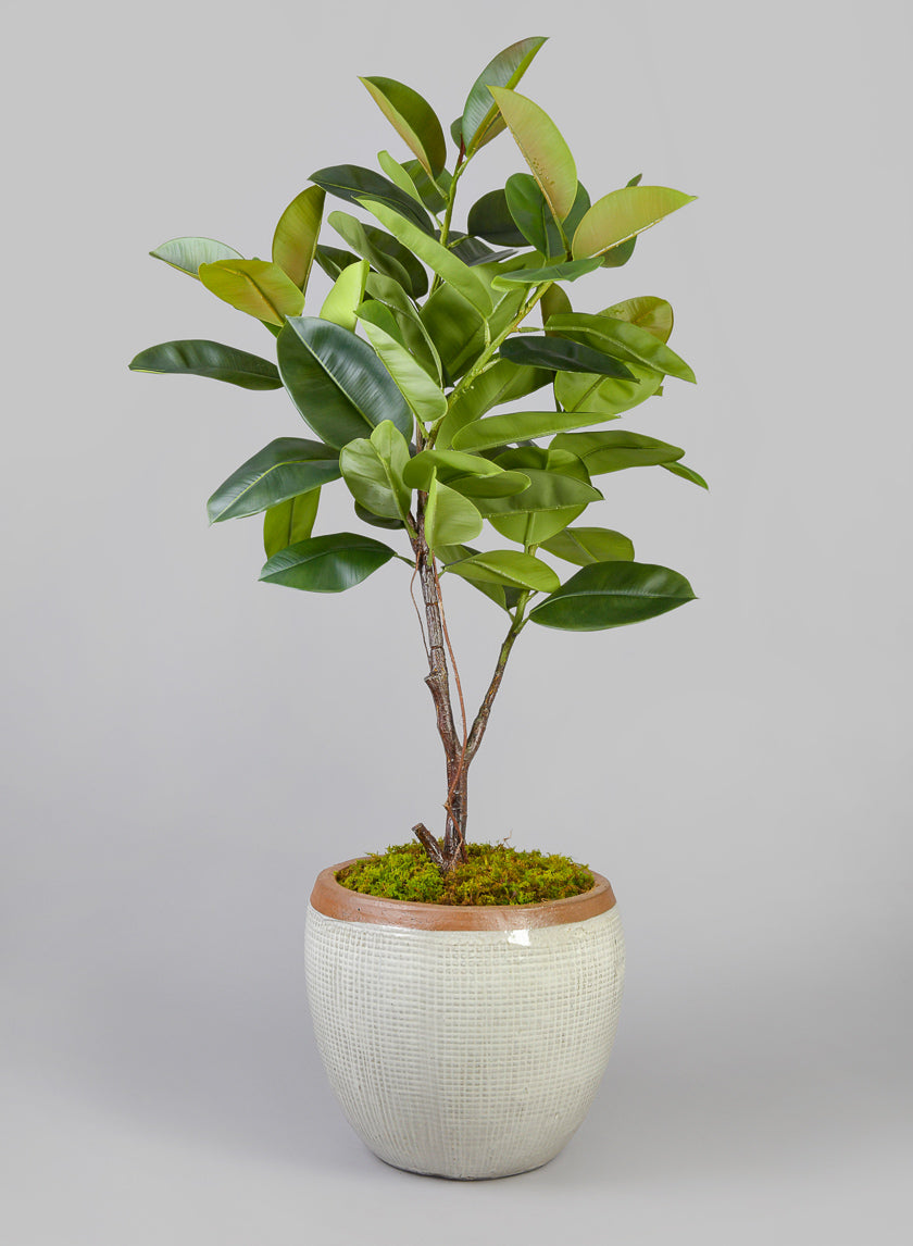 16.5in Rimmed Bowl Planter, Yucatan Stone White Decor Jamali Garden