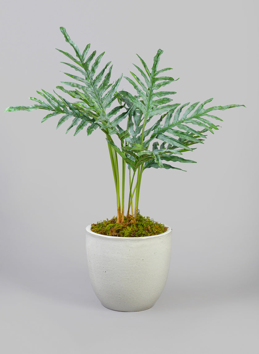 Belize Egg Clay & Ceramic Planter, Cloud White Decor Jamali Garden