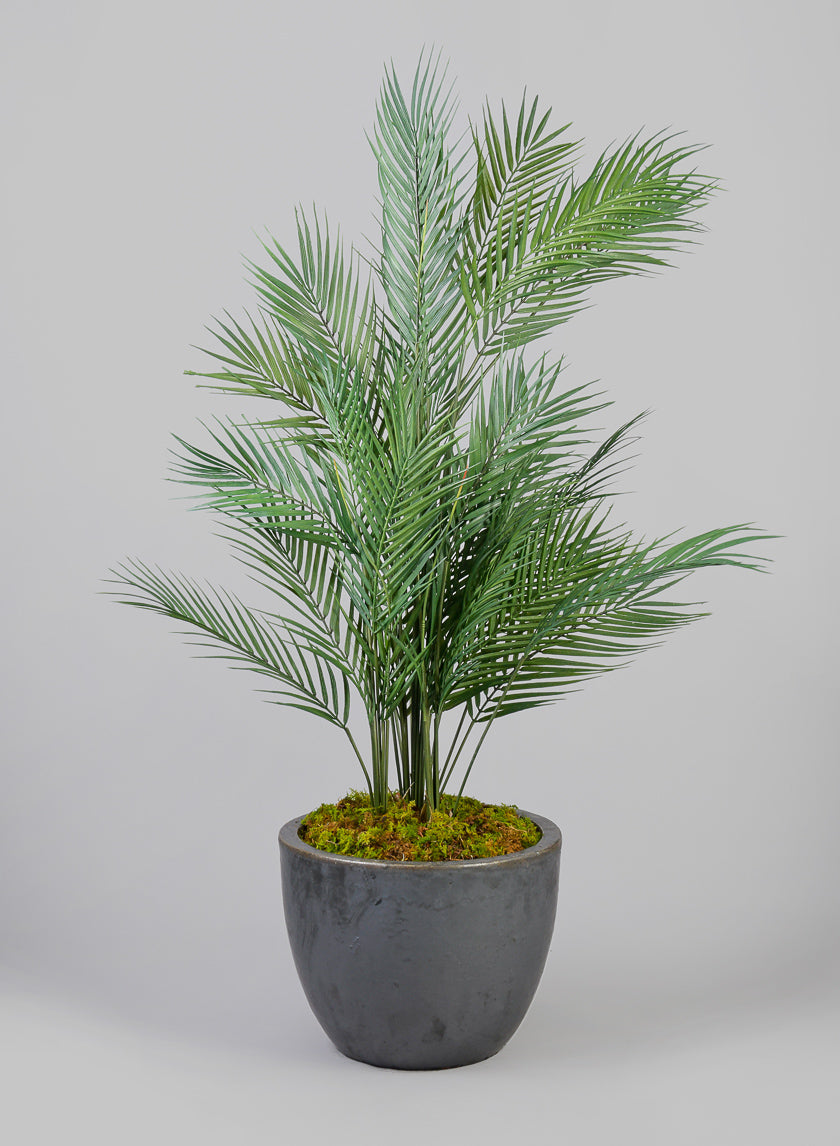 Belize Egg Clay & Ceramic Planter, Matte Black Decor Jamali Garden