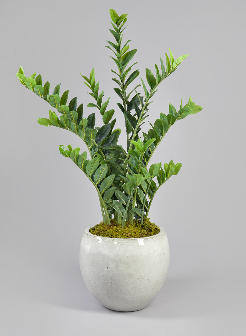 Grand Bowl Clay & Ceramic Planter, Cloud White Decor Jamali Garden