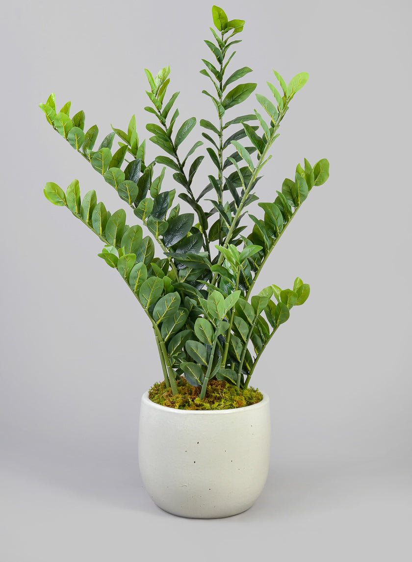 Deck Clay & Ceramic Planters, Yucatan White Decor Jamali Garden