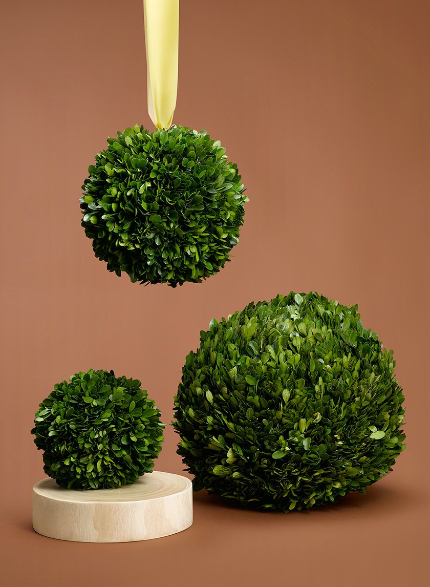 Boxwood Balls Jamali Garden