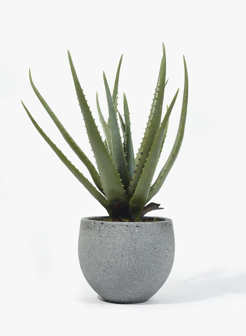 Round Rough Grey Ficonstone Pots Decor Jamali Garden