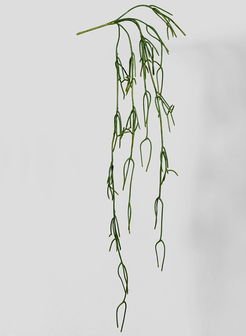 45in Long Pencil Cactus Vine, Case of 12 Decor Jamali Garden