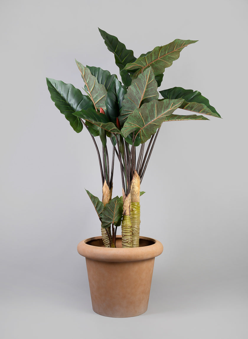 Chino Bevelled Edge Lava Concrete Terracotta Look Pot Decor Jamali Garden