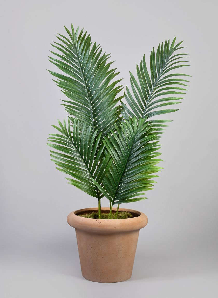 Chino Bevelled Edge Lava Concrete Terracotta Look Pot Decor Jamali Garden