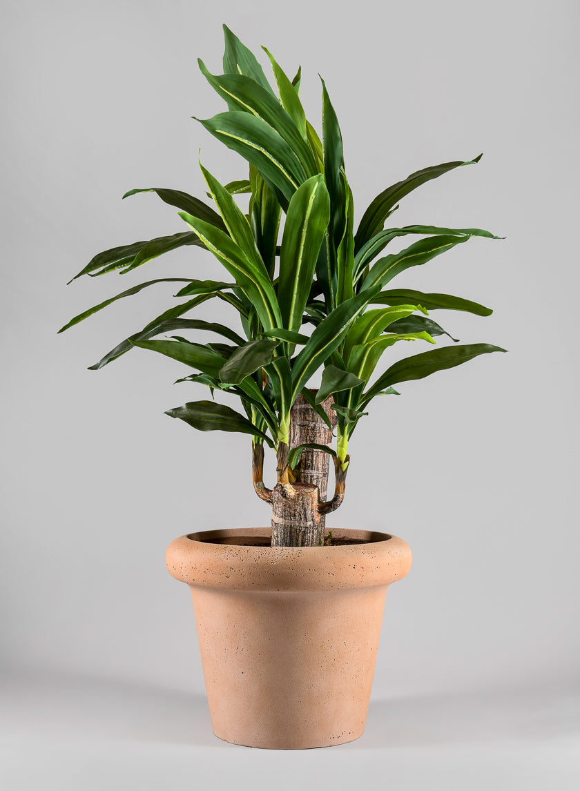 Chino Bevelled Edge Lava Concrete Terracotta Look Pot Decor Jamali Garden