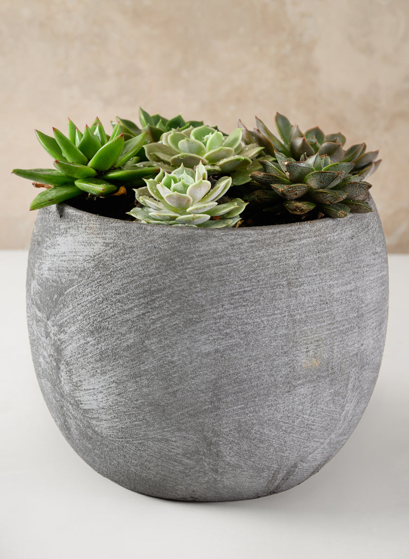 Iquitos Venetian Grey Ceramic Pot Decor Jamali Garden