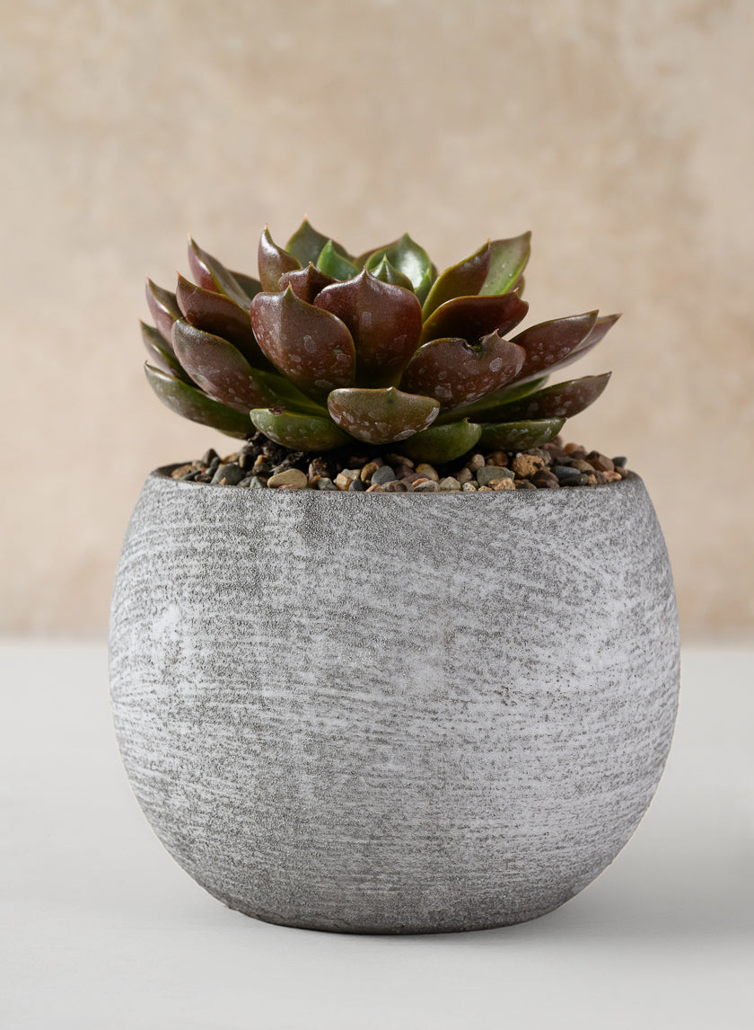 Iquitos Venetian Grey Ceramic Pot Decor Jamali Garden